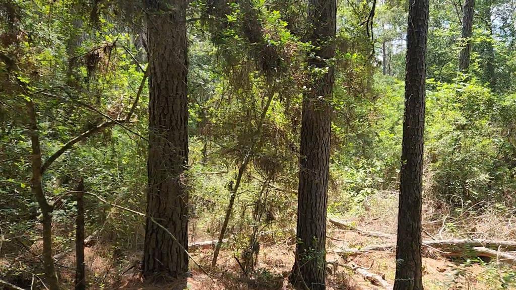 Lot 5 Tallowood Drive