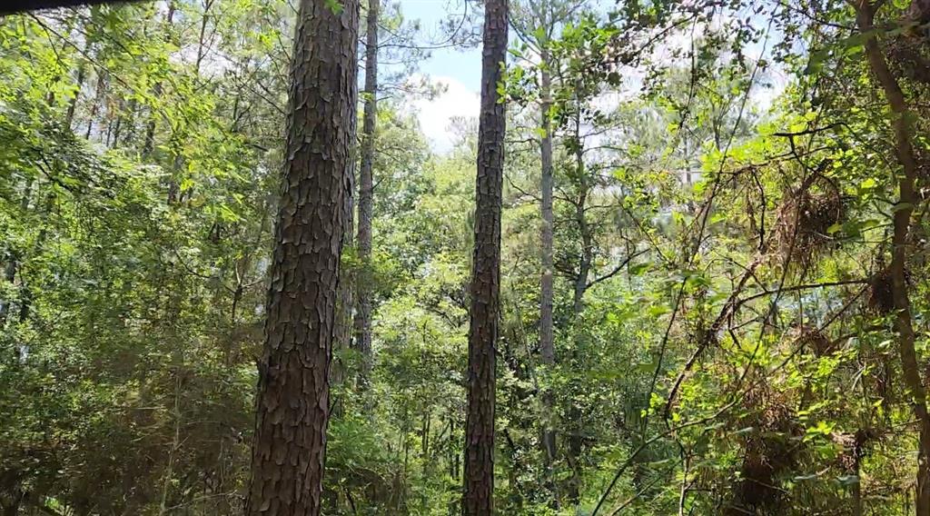 Lot 5 Tallowood Drive