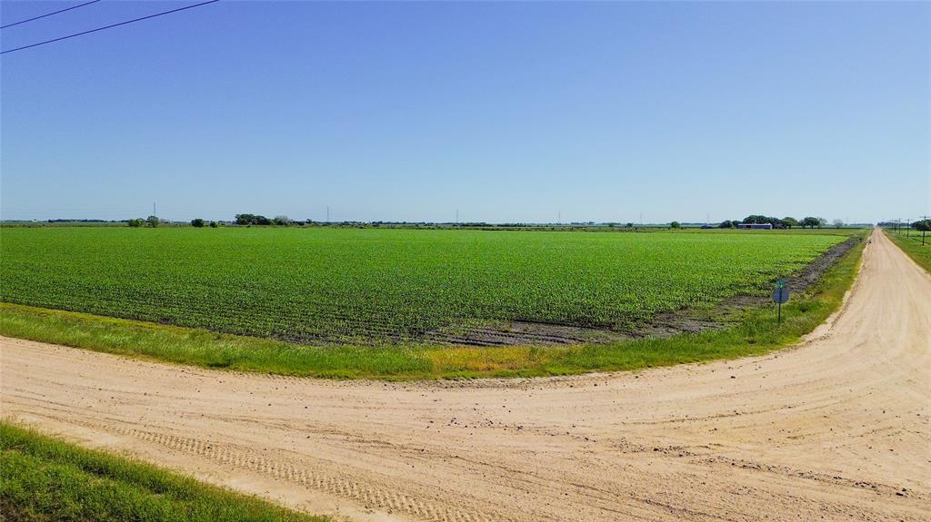 Lot 5 County Road 326, Louise, Texas image 5