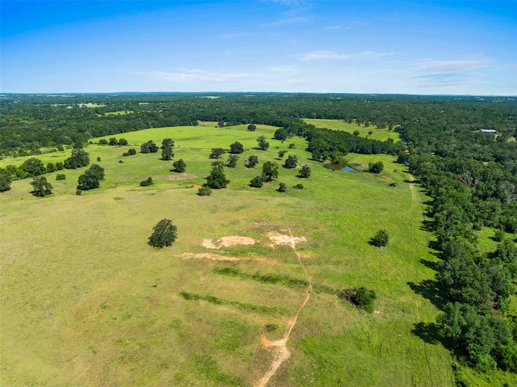 3411 County Road 308, Caldwell, Texas image 32