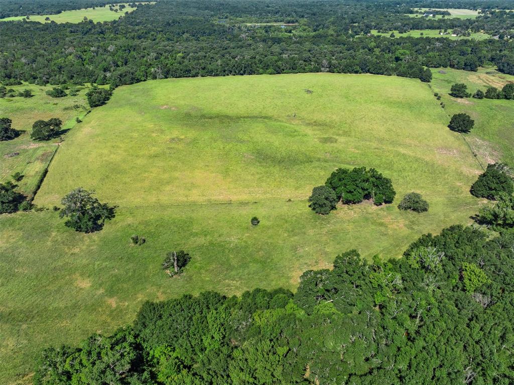 3411 County Road 308, Caldwell, Texas image 40