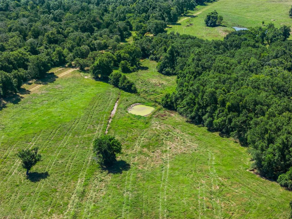 3411 County Road 308, Caldwell, Texas image 35