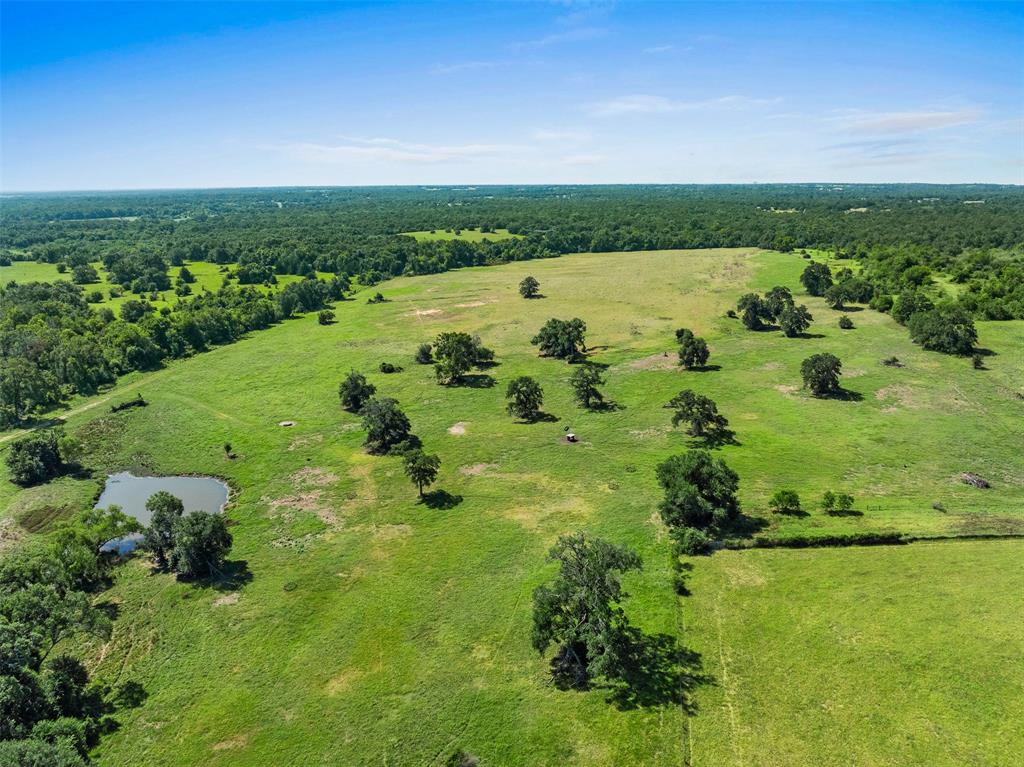 3411 County Road 308, Caldwell, Texas image 39