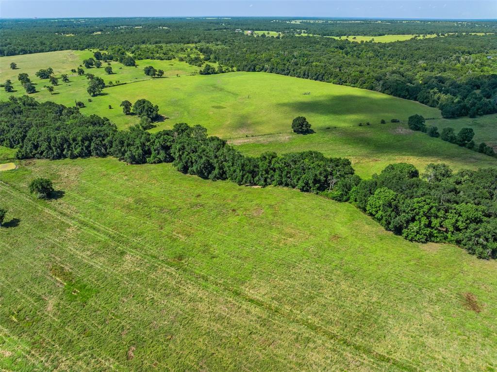 3411 County Road 308, Caldwell, Texas image 36