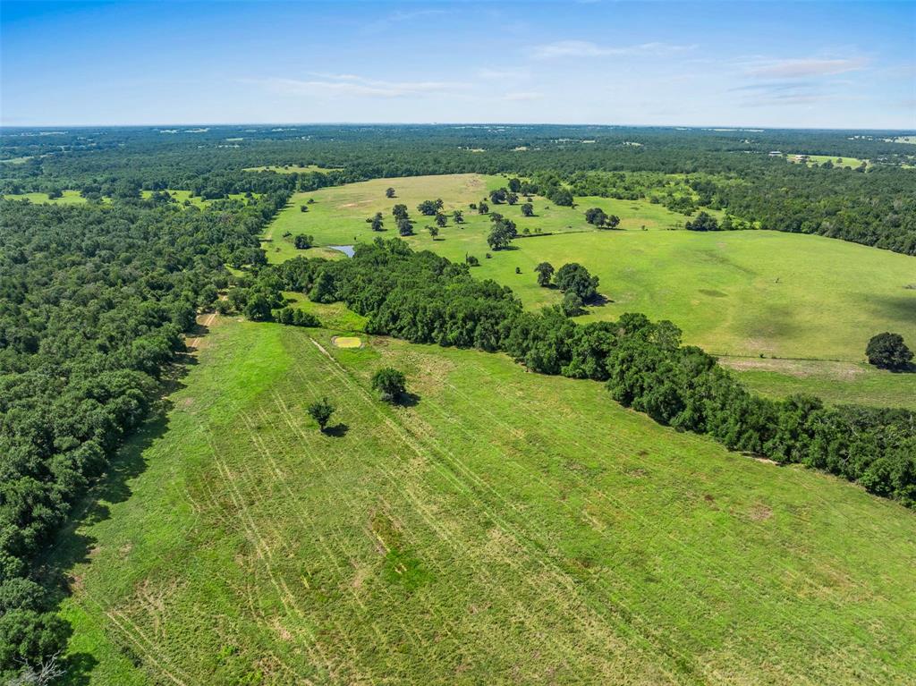 3411 County Road 308, Caldwell, Texas image 37