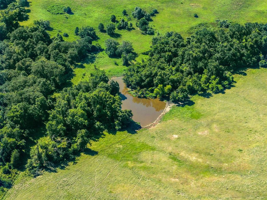 3411 County Road 308, Caldwell, Texas image 30