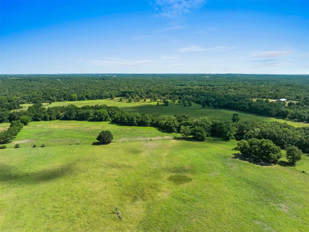 3411 County Road 308, Caldwell, Texas image 38