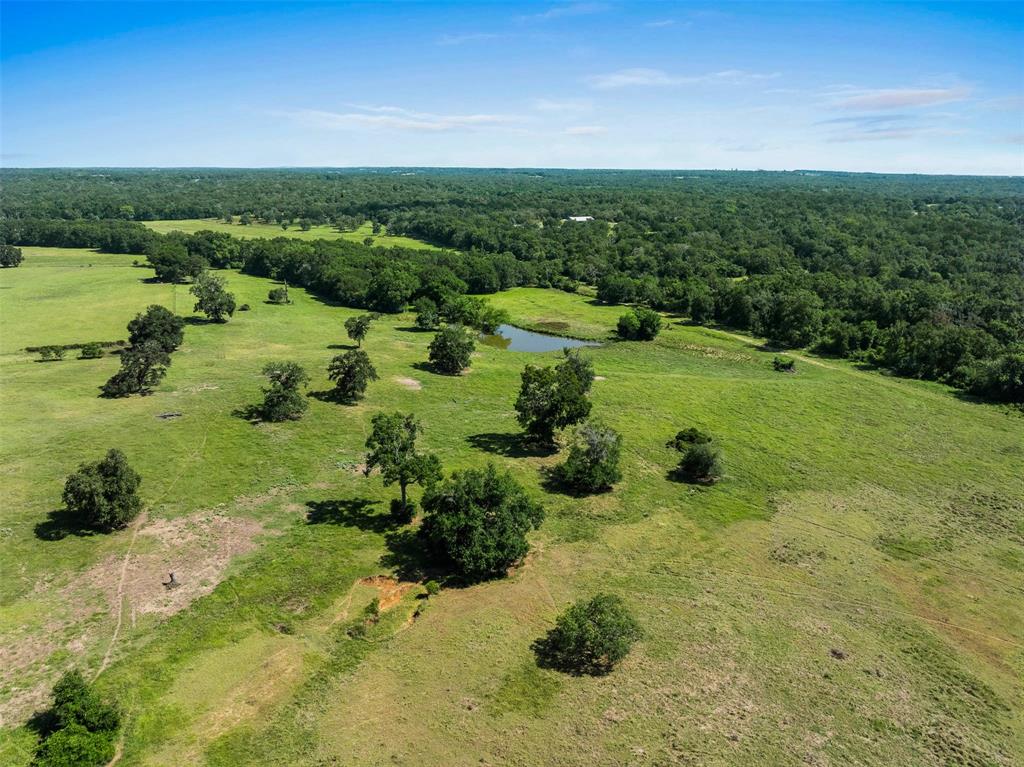 3411 County Road 308, Caldwell, Texas image 41