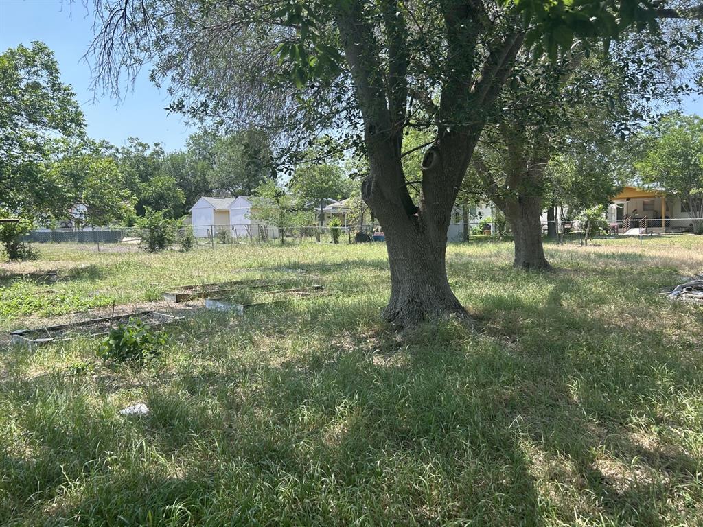 1350 Huisache Avenue, New Braunfels, Texas image 4