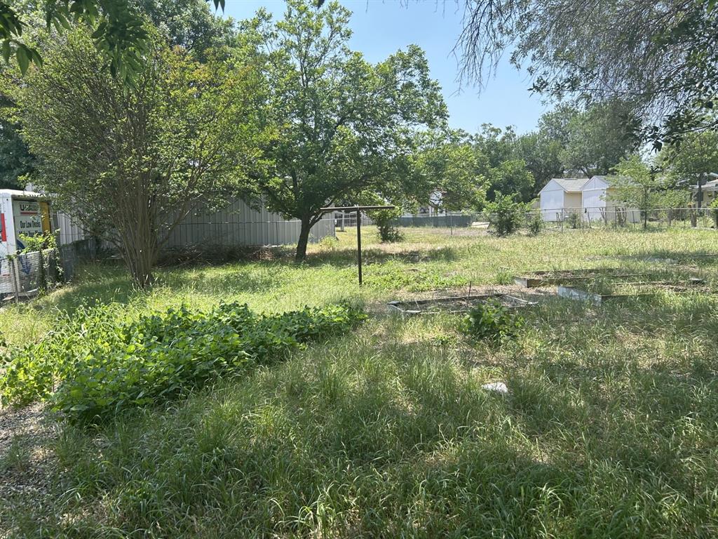 1350 Huisache Avenue, New Braunfels, Texas image 5