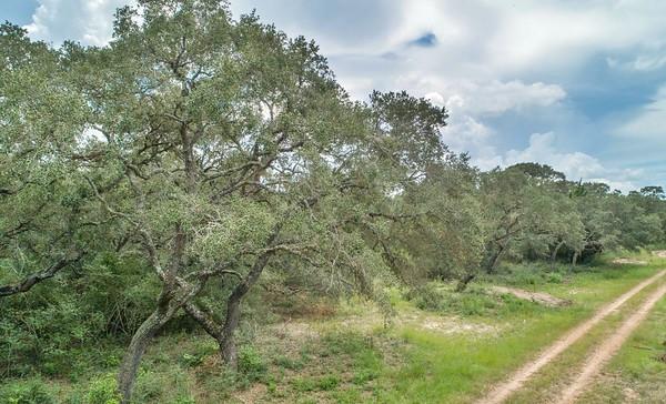 Tract 11 Pr 4061, Edna, Texas image 1