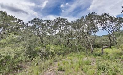 Tract 11 Pr 4061, Edna, Texas image 12