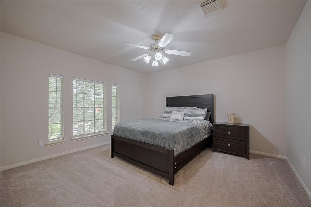 11943 Natural Bridges Lane, Sugar Land, Texas image 30