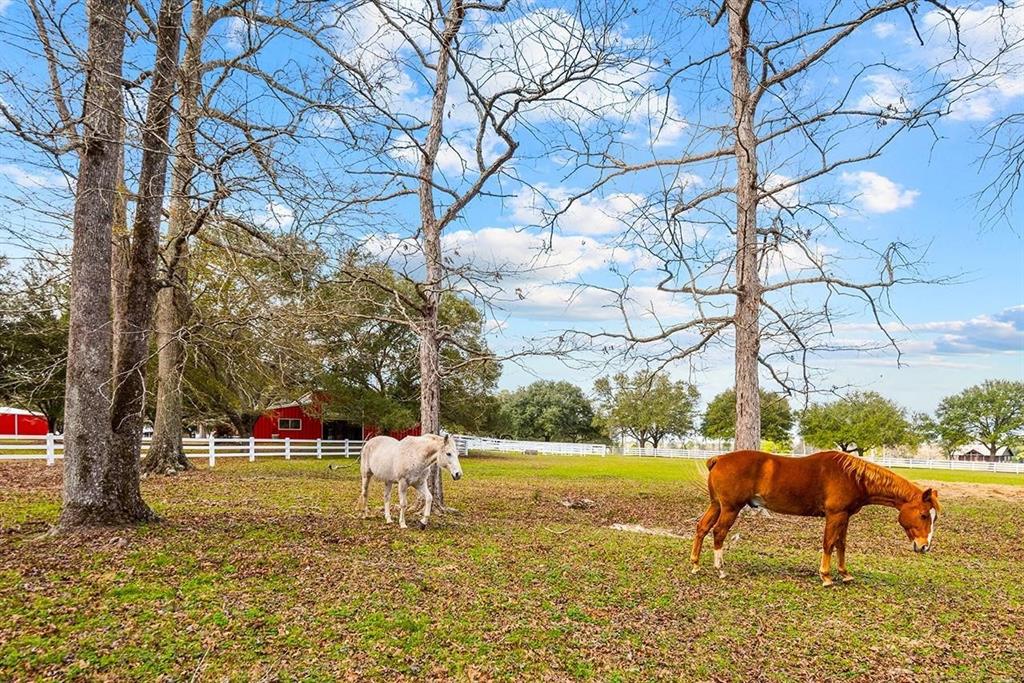 Lakeland Ranch Lot 132, Hillister, Texas image 5