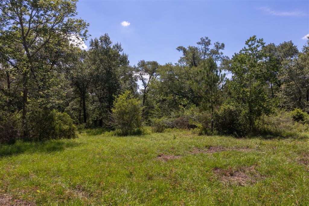 27108 Highway 6, Hempstead, Texas image 12