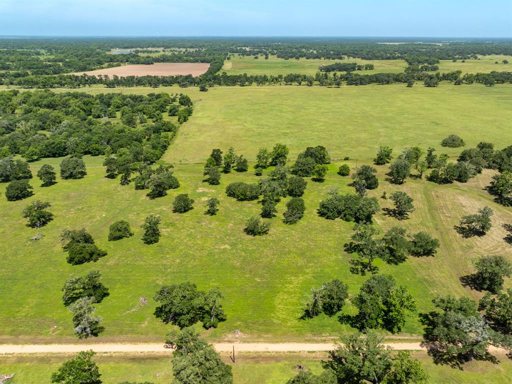455 Valley Oaks Drive, Van Vleck, Texas image 12