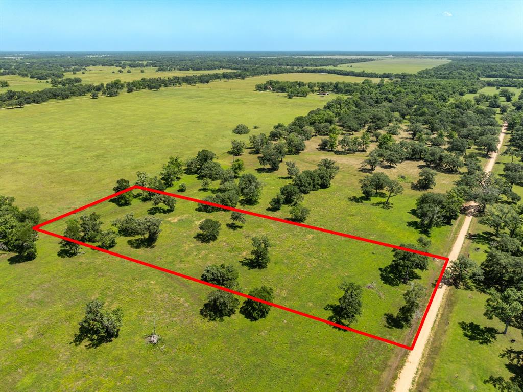 455 Valley Oaks Drive, Van Vleck, Texas image 1
