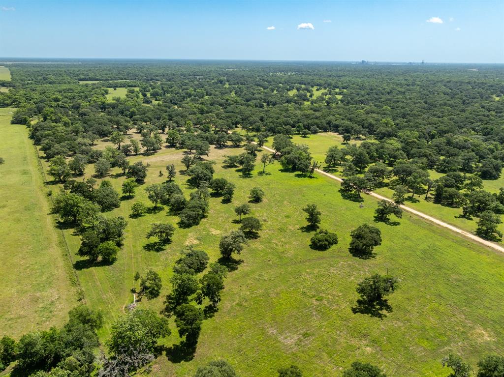455 Valley Oaks Drive, Van Vleck, Texas image 6
