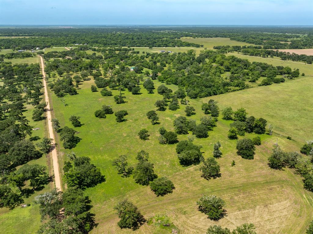 455 Valley Oaks Drive, Van Vleck, Texas image 14