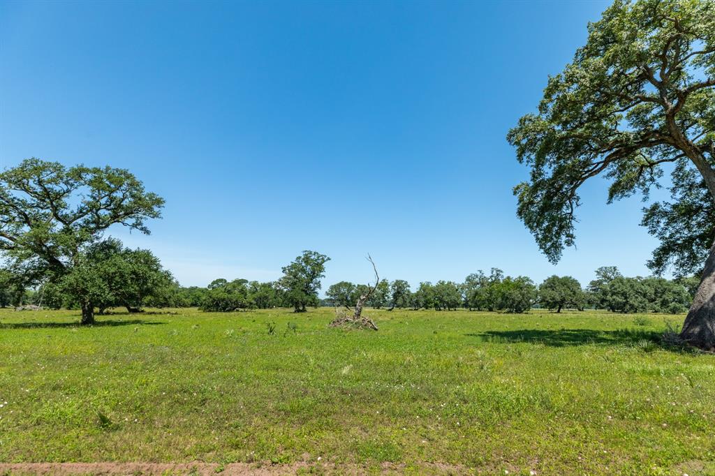 455 Valley Oaks Drive