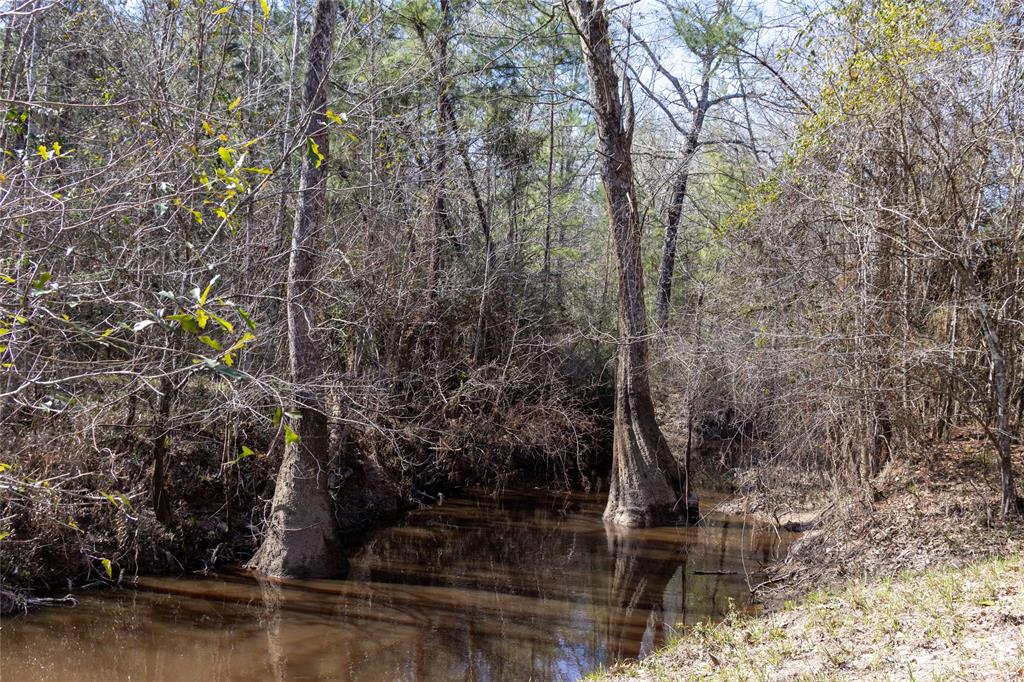 Whispering Pines Drive, Lumberton, Texas image 9