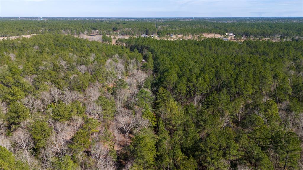 Whispering Pines Drive, Lumberton, Texas image 6