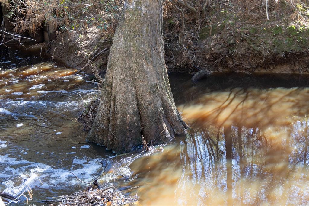 Whispering Pines Drive, Lumberton, Texas image 11