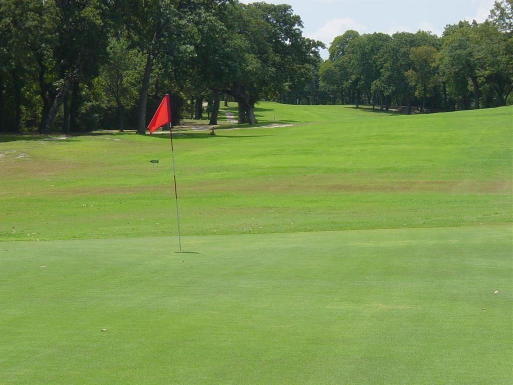 Tri Pacer Lane, Hilltop Lakes, Texas image 7