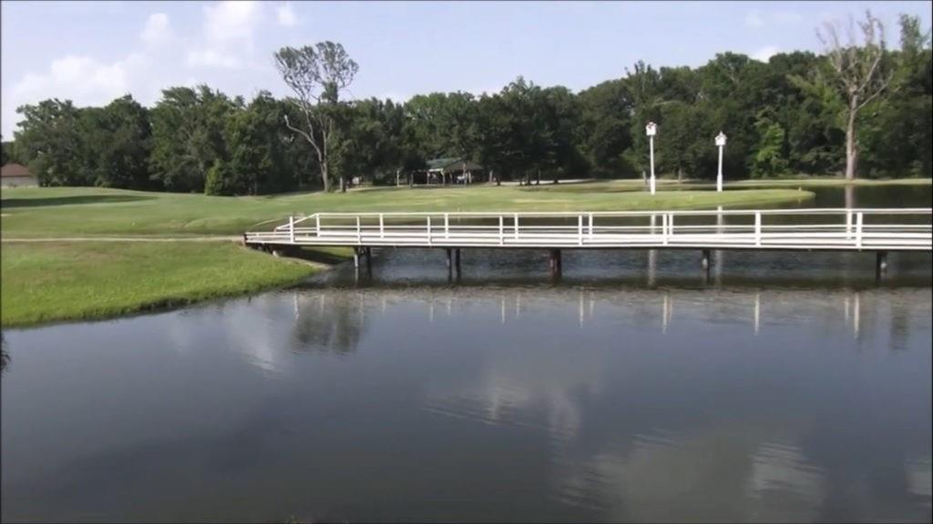 Tri Pacer Lane, Hilltop Lakes, Texas image 9