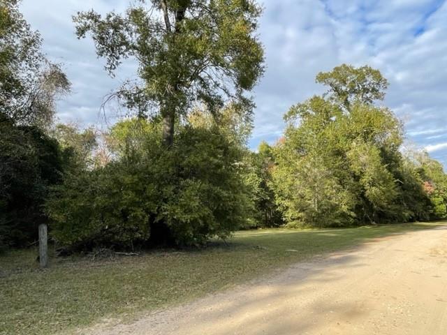 465 County Road 4220, Orange, Texas image 6