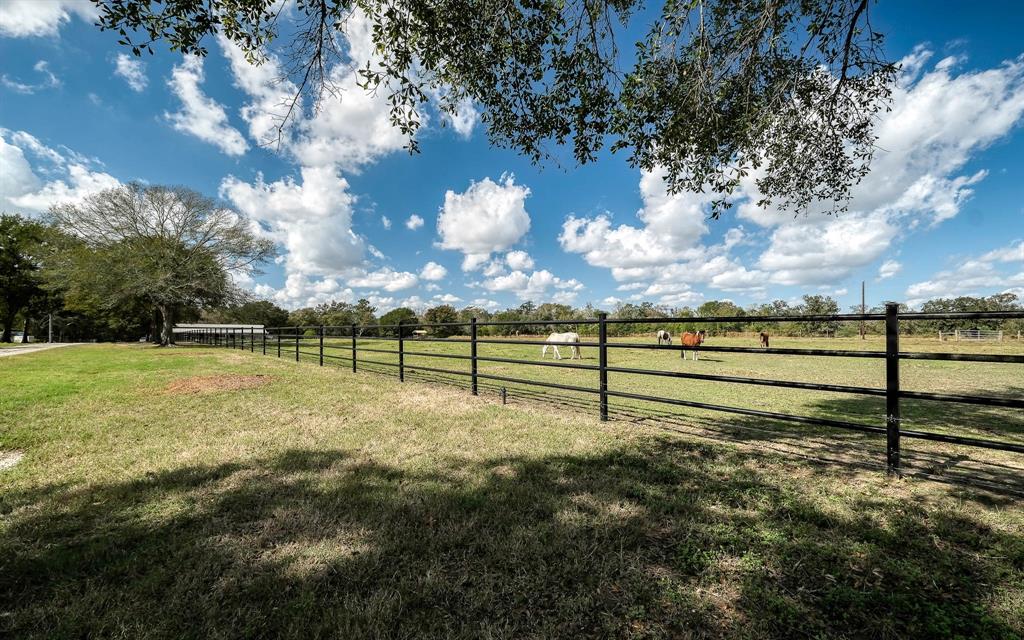 22474 Kmiec Road, Hempstead, Texas image 45