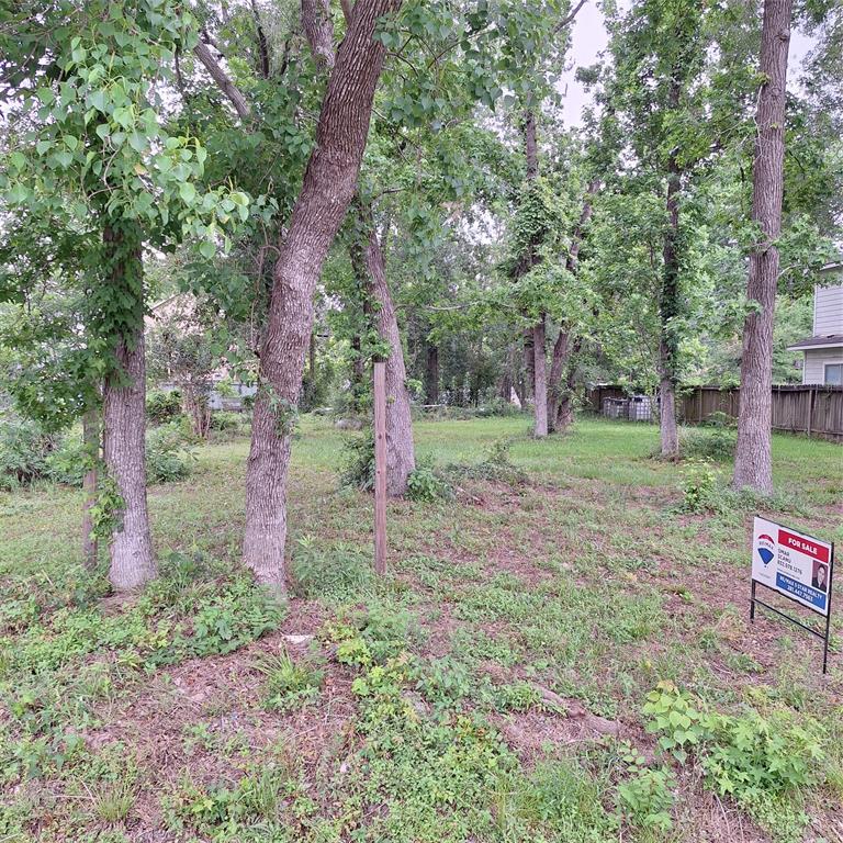 8113 Caddo Road, Houston, Texas image 5