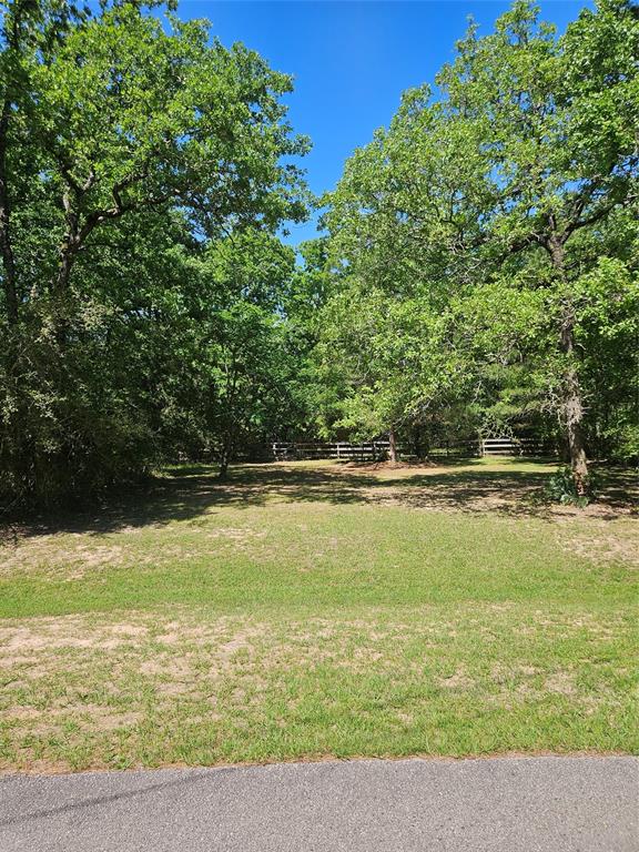 25307 Bancock Court, Magnolia, Texas image 1
