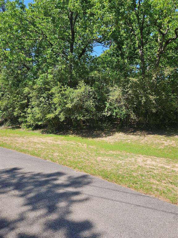 25307 Bancock Court, Magnolia, Texas image 2
