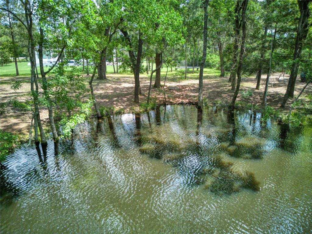 31111 Spring Lake Boulevard, Tomball, Texas image 9