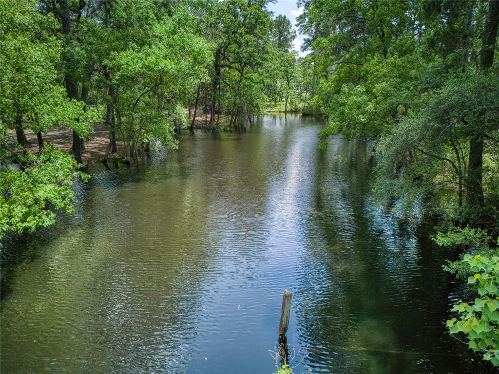 31111 Spring Lake Boulevard, Tomball, Texas image 7