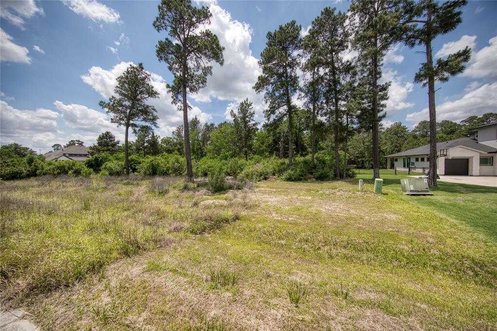 31111 Spring Lake Boulevard, Tomball, Texas image 10