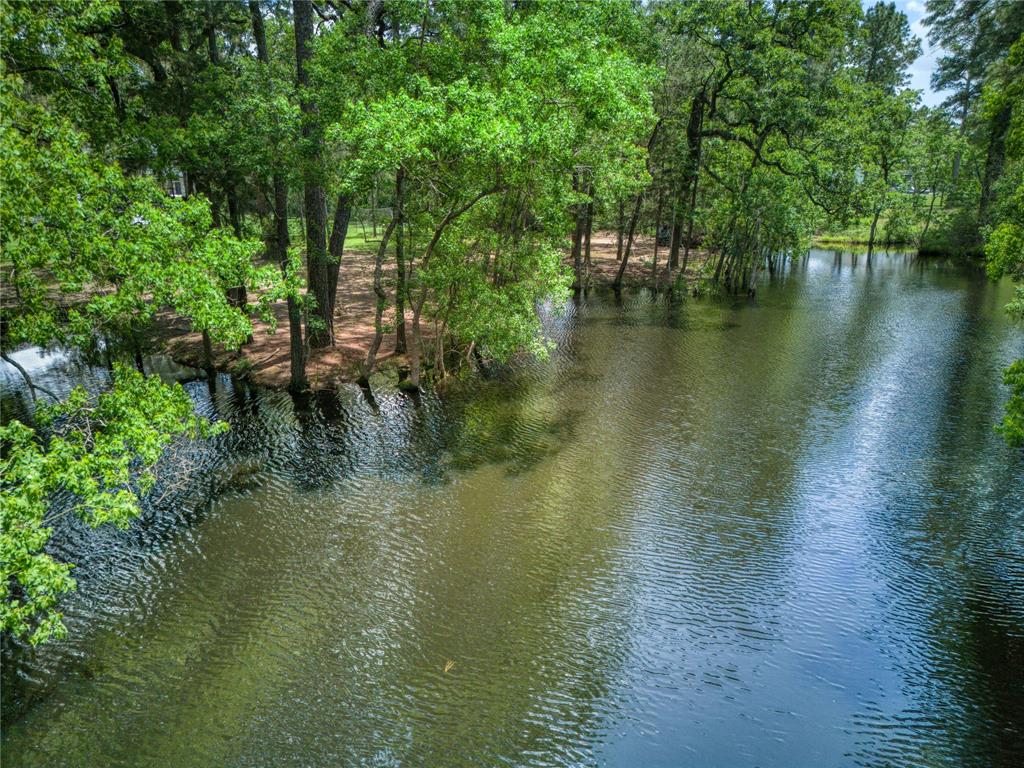 31111 Spring Lake Boulevard, Tomball, Texas image 8