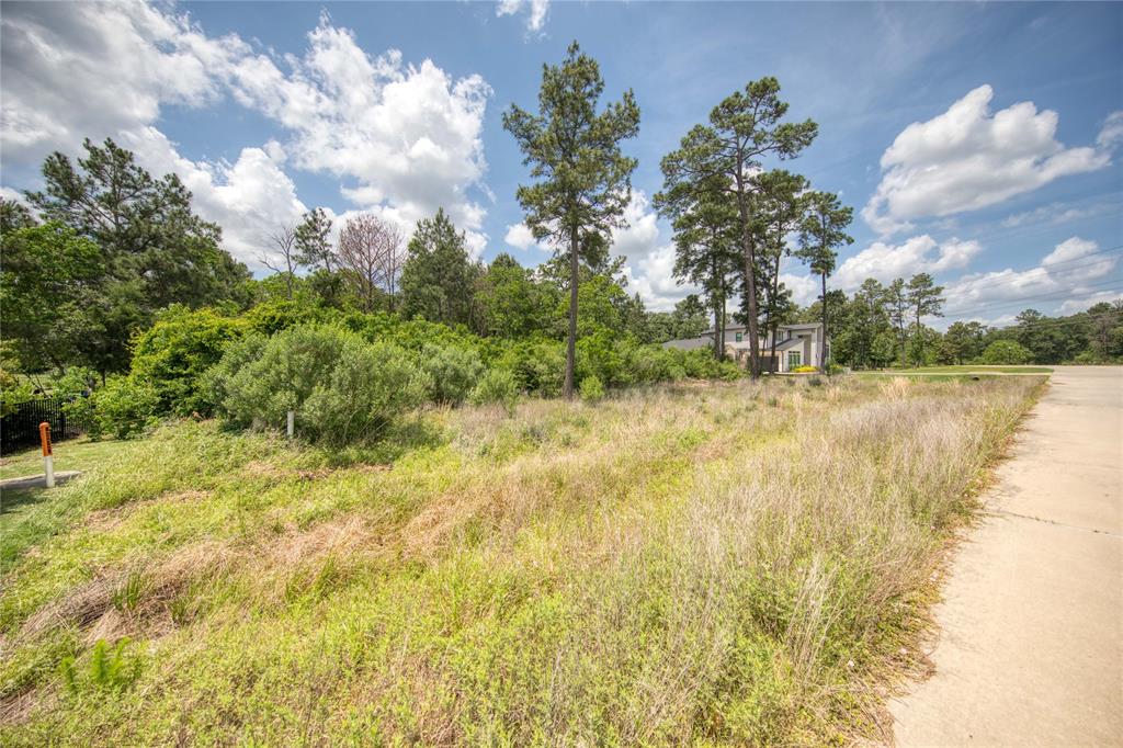 31111 Spring Lake Boulevard, Tomball, Texas image 11