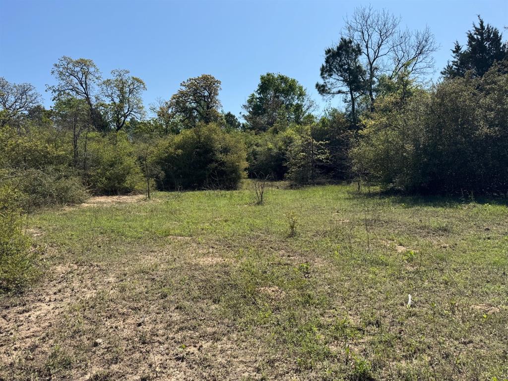 2954 County Road 2170, Grapeland, Texas image 11