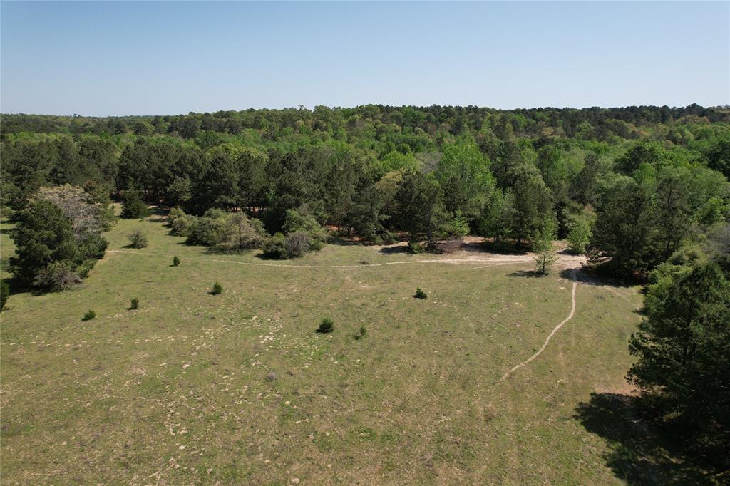 2954 County Road 2170, Grapeland, Texas image 13