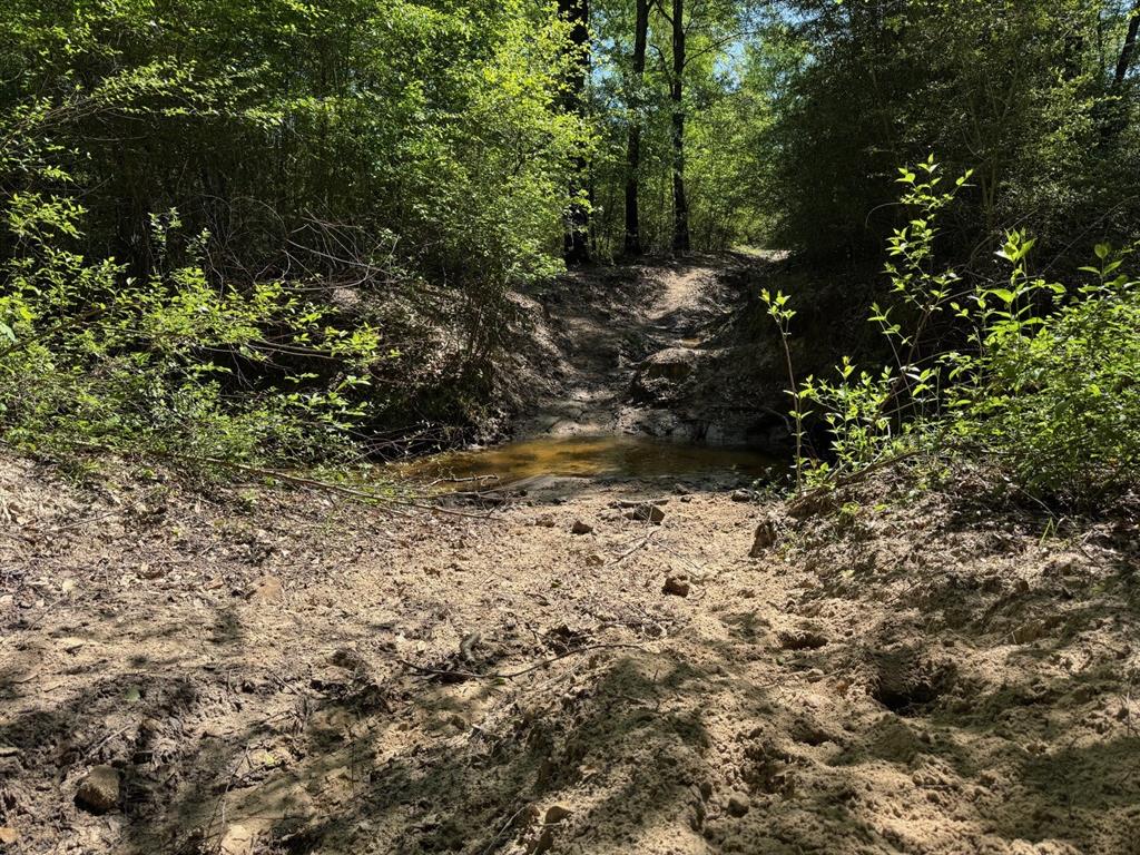 2954 County Road 2170, Grapeland, Texas image 28