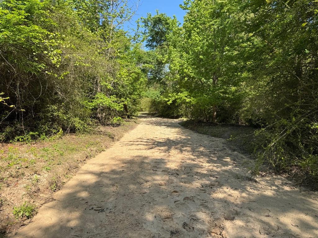 2954 County Road 2170, Grapeland, Texas image 26