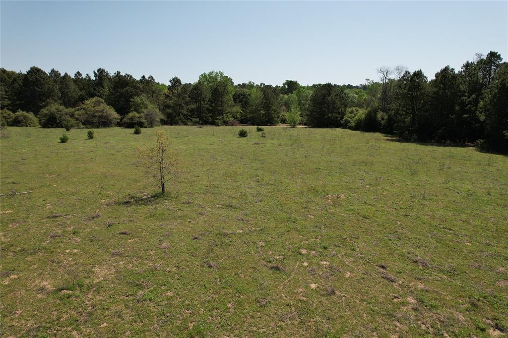 2954 County Road 2170, Grapeland, Texas image 14