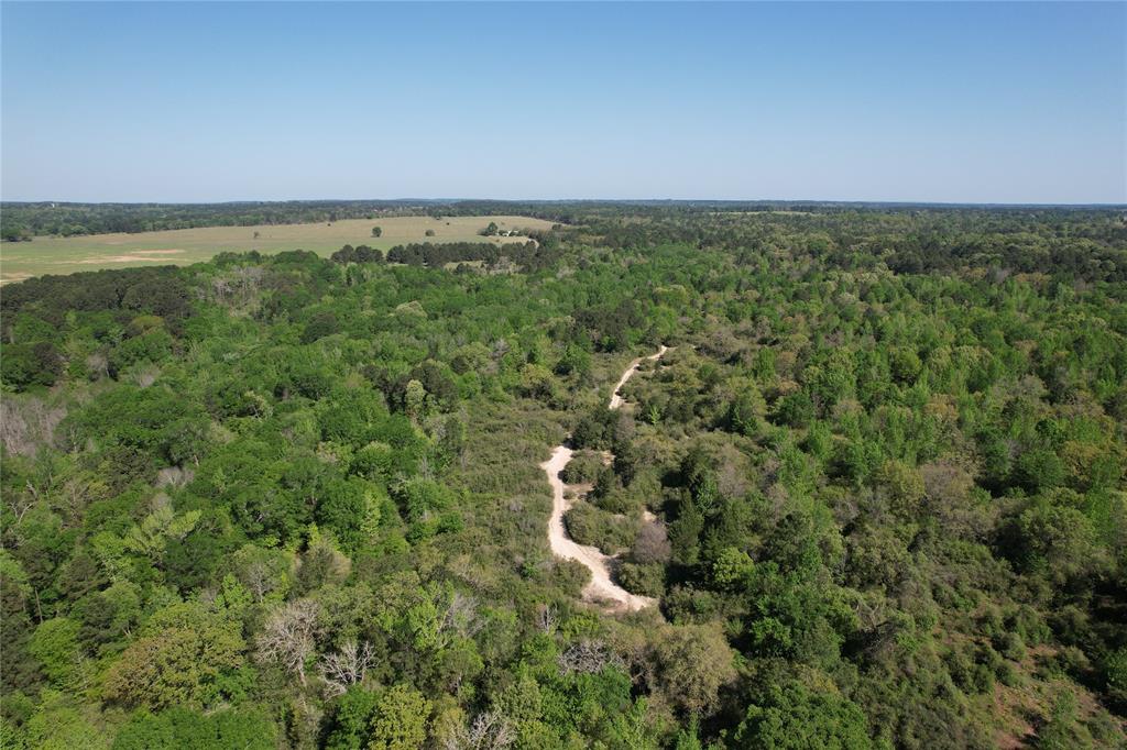 2954 County Road 2170, Grapeland, Texas image 23
