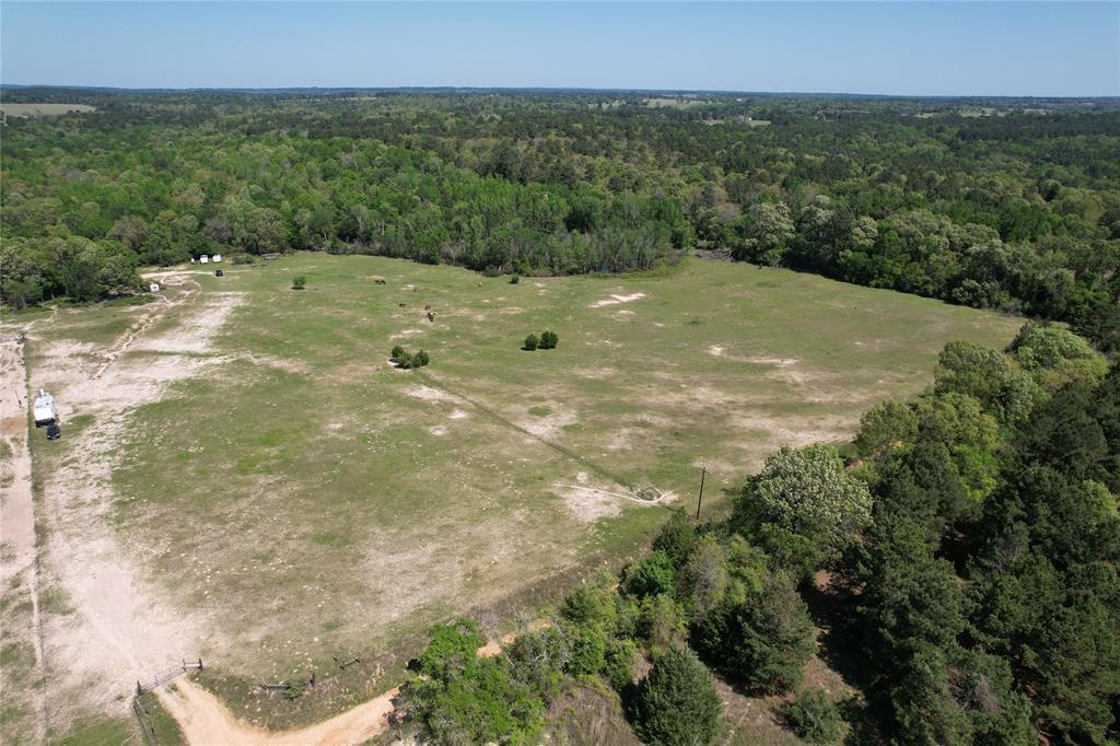 2954 County Road 2170, Grapeland, Texas image 21