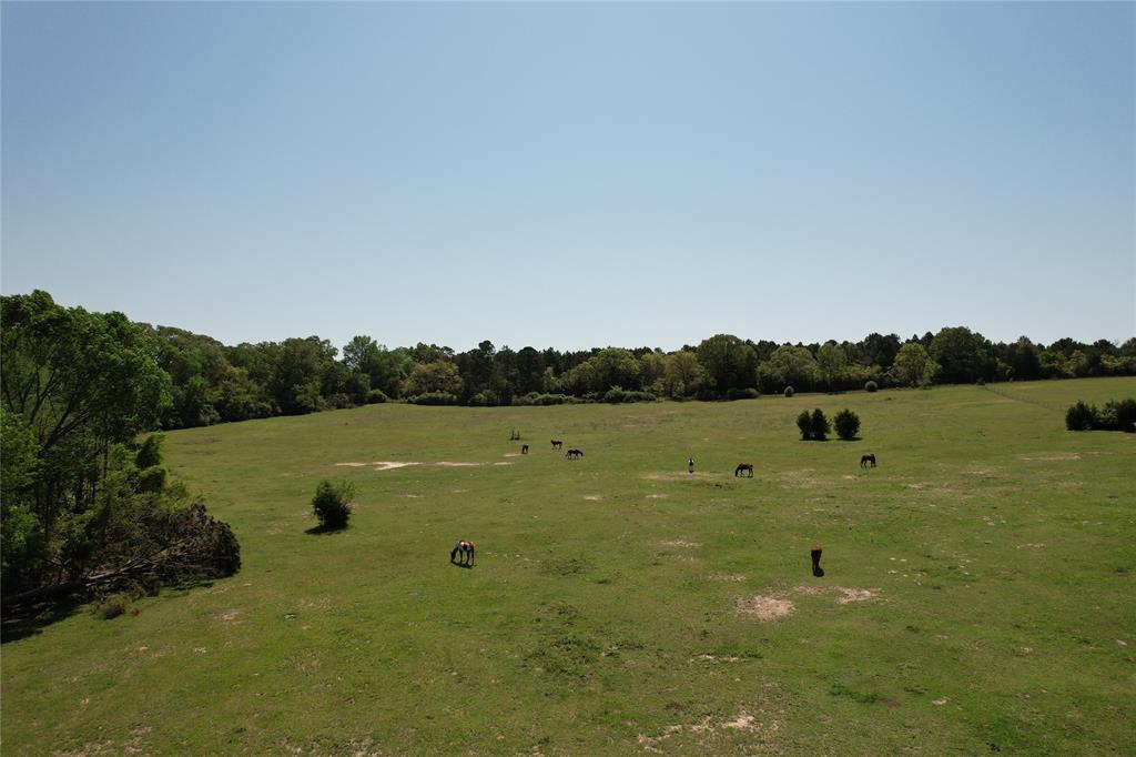 2954 County Road 2170, Grapeland, Texas image 16