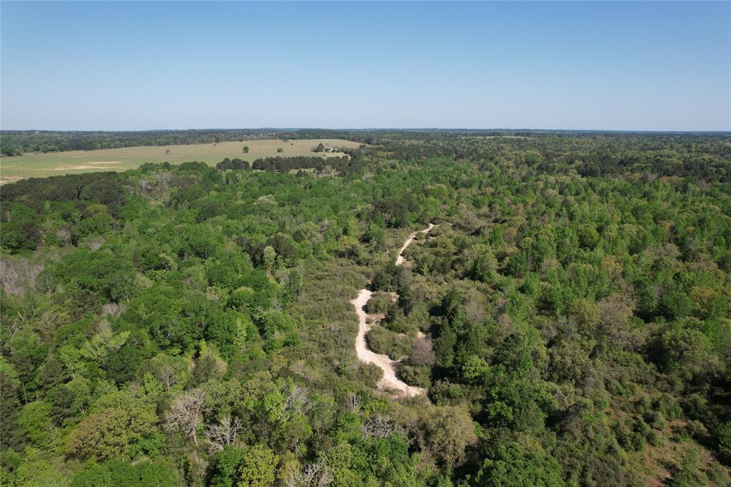 2954 County Road 2170, Grapeland, Texas image 24
