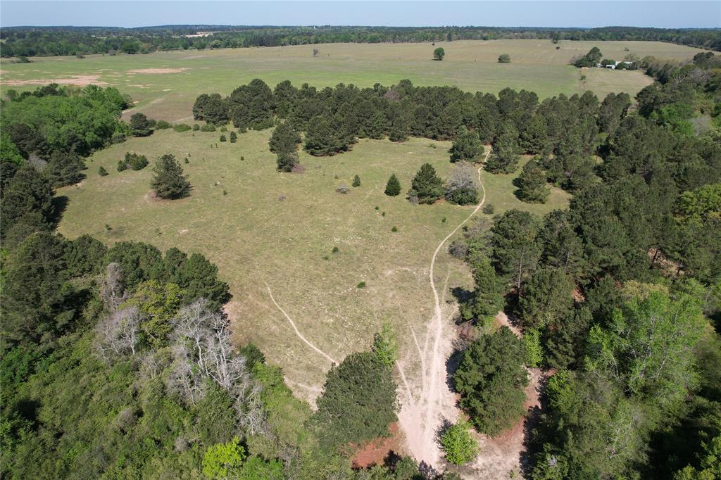 2954 County Road 2170, Grapeland, Texas image 3