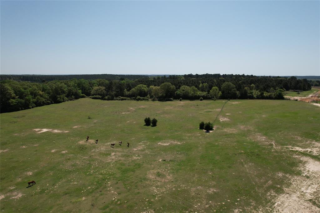 2954 County Road 2170, Grapeland, Texas image 18
